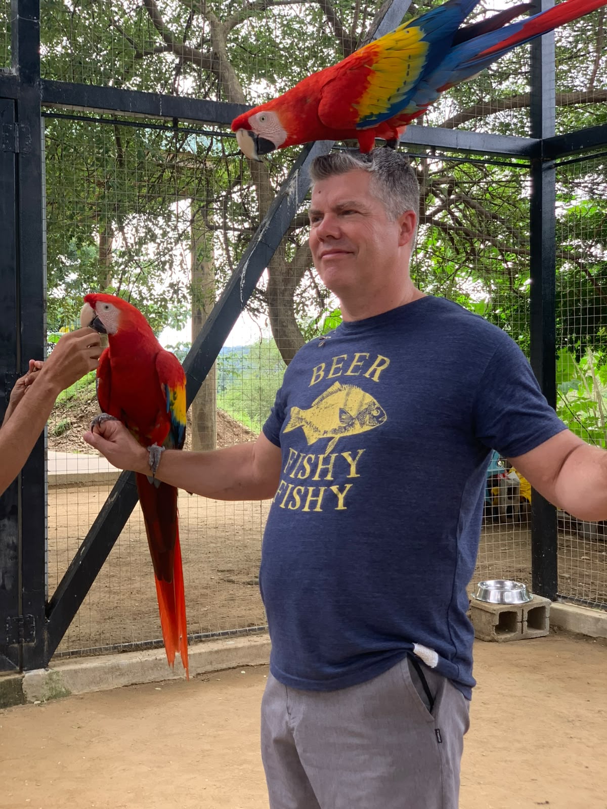 Memorable family-friendly macaw encounter