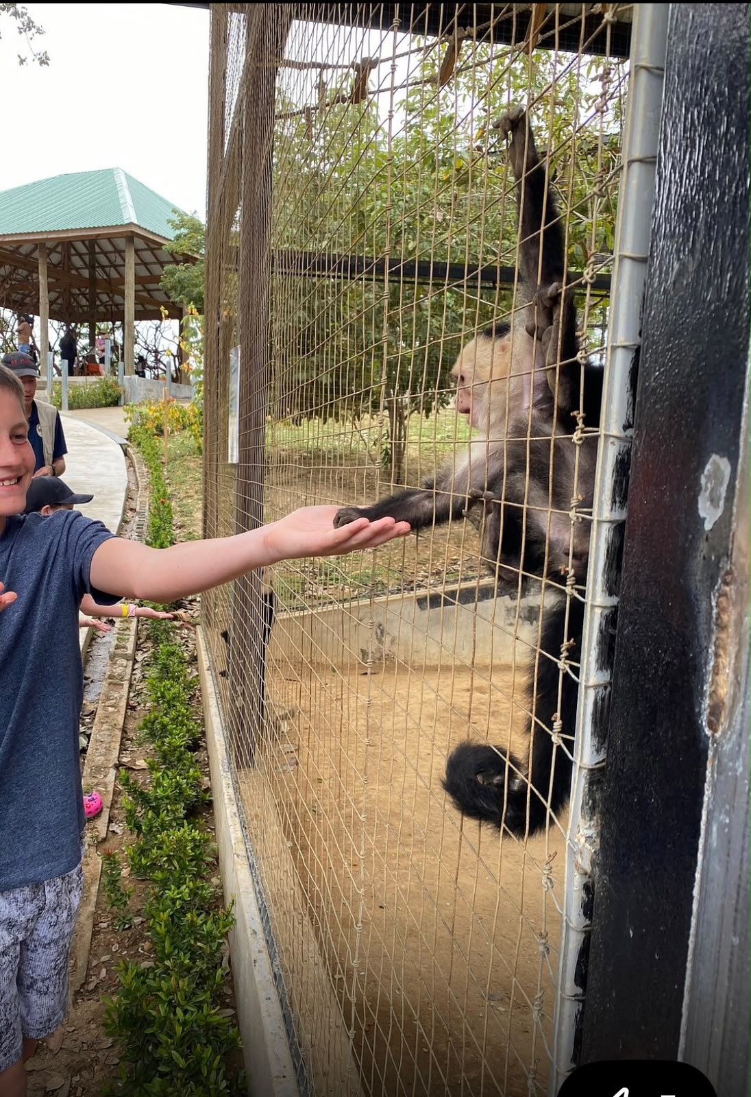 Young guest meeting a monkey at a Roatán wildlife sanctuary