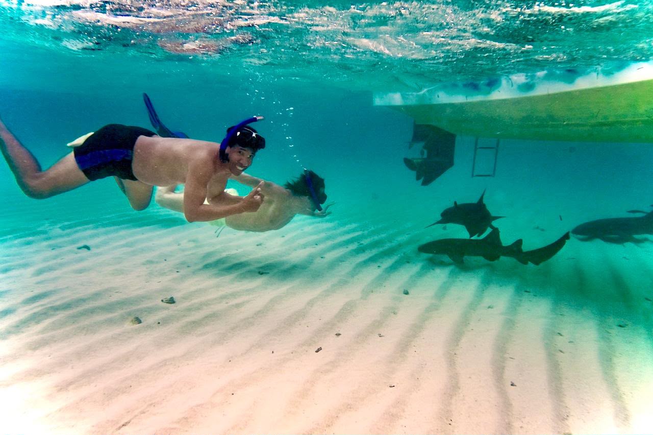 Snorkeler exploring clear Caribbean water in Roatán